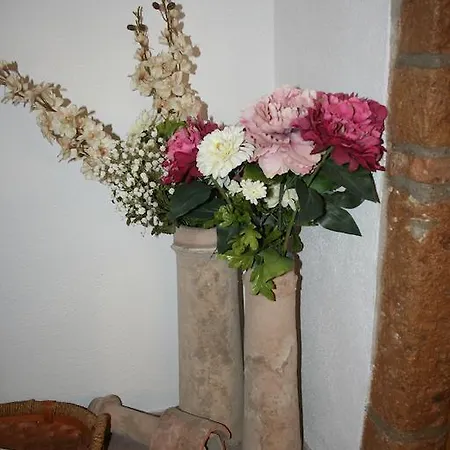 Urbevetus Orvieto